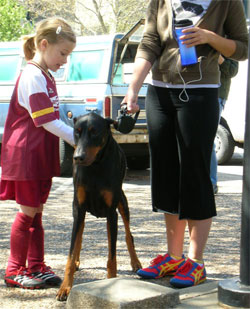 best names for doberman pinschers